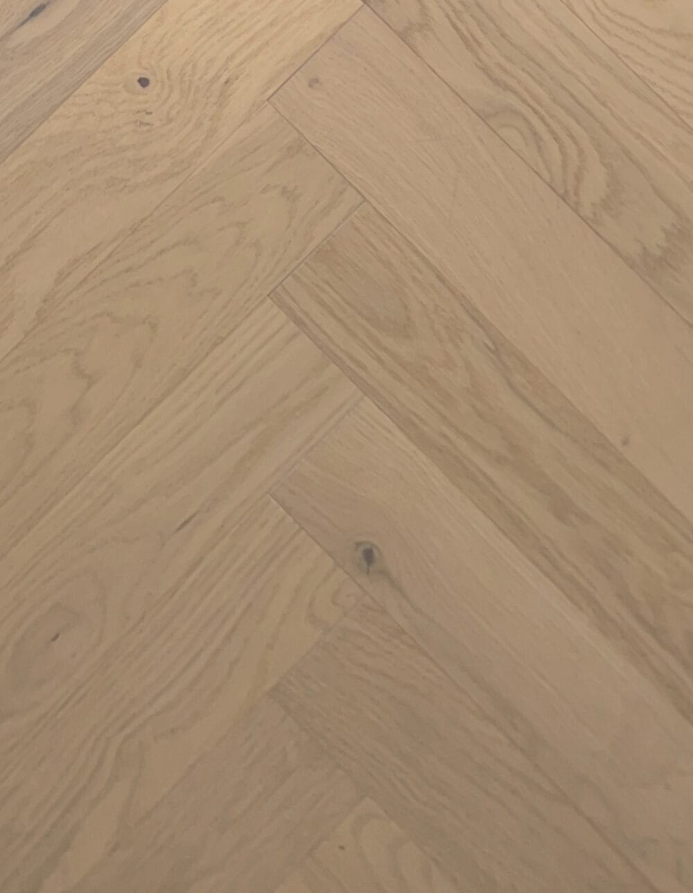 sahara oak