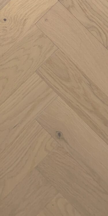 sahara oak